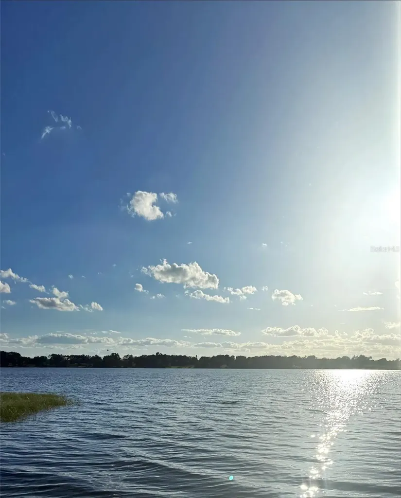 20018 Bill Collins Road Eustis FL 32736