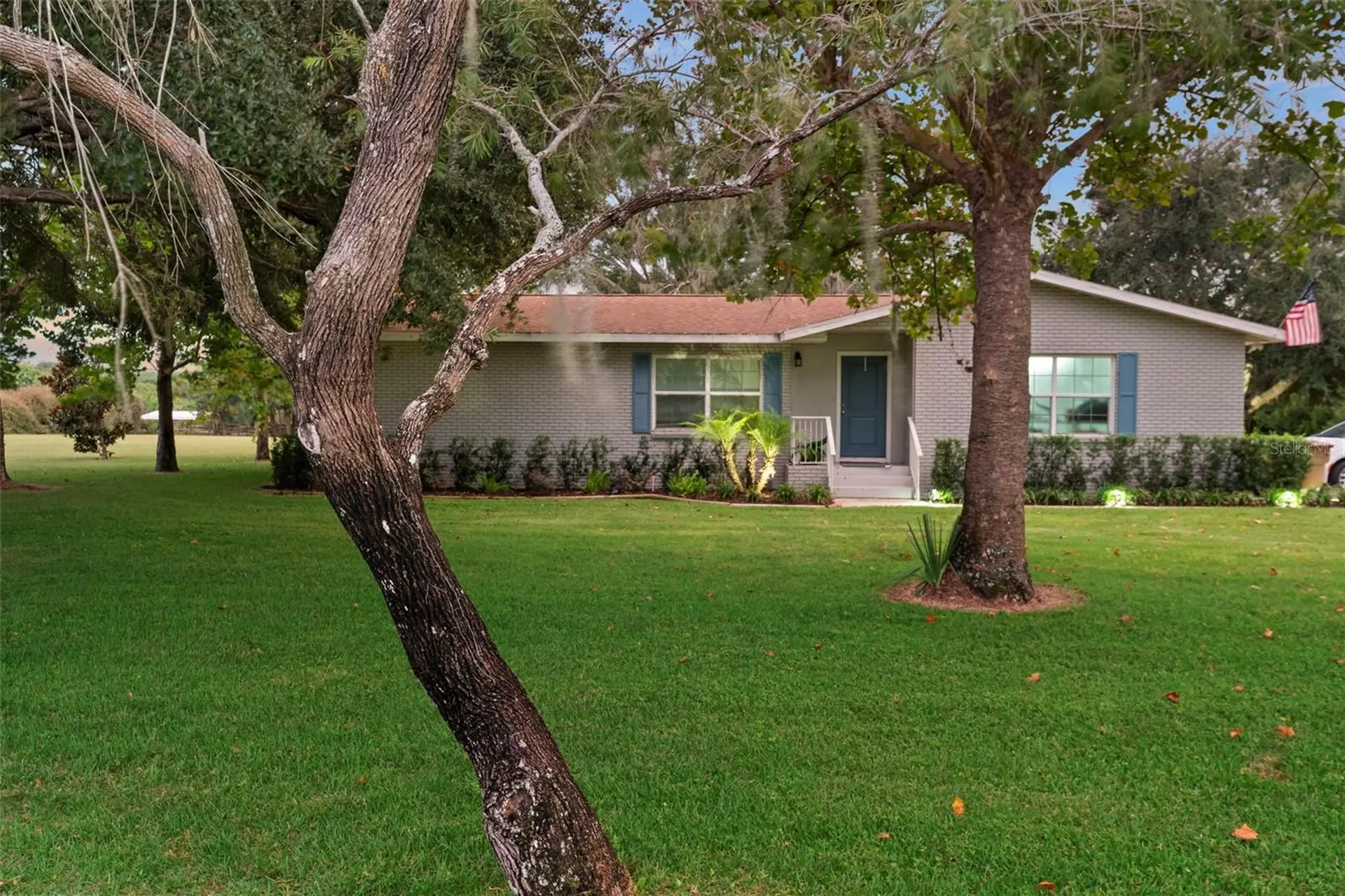 20018 Bill Collins Road Eustis FL 32736