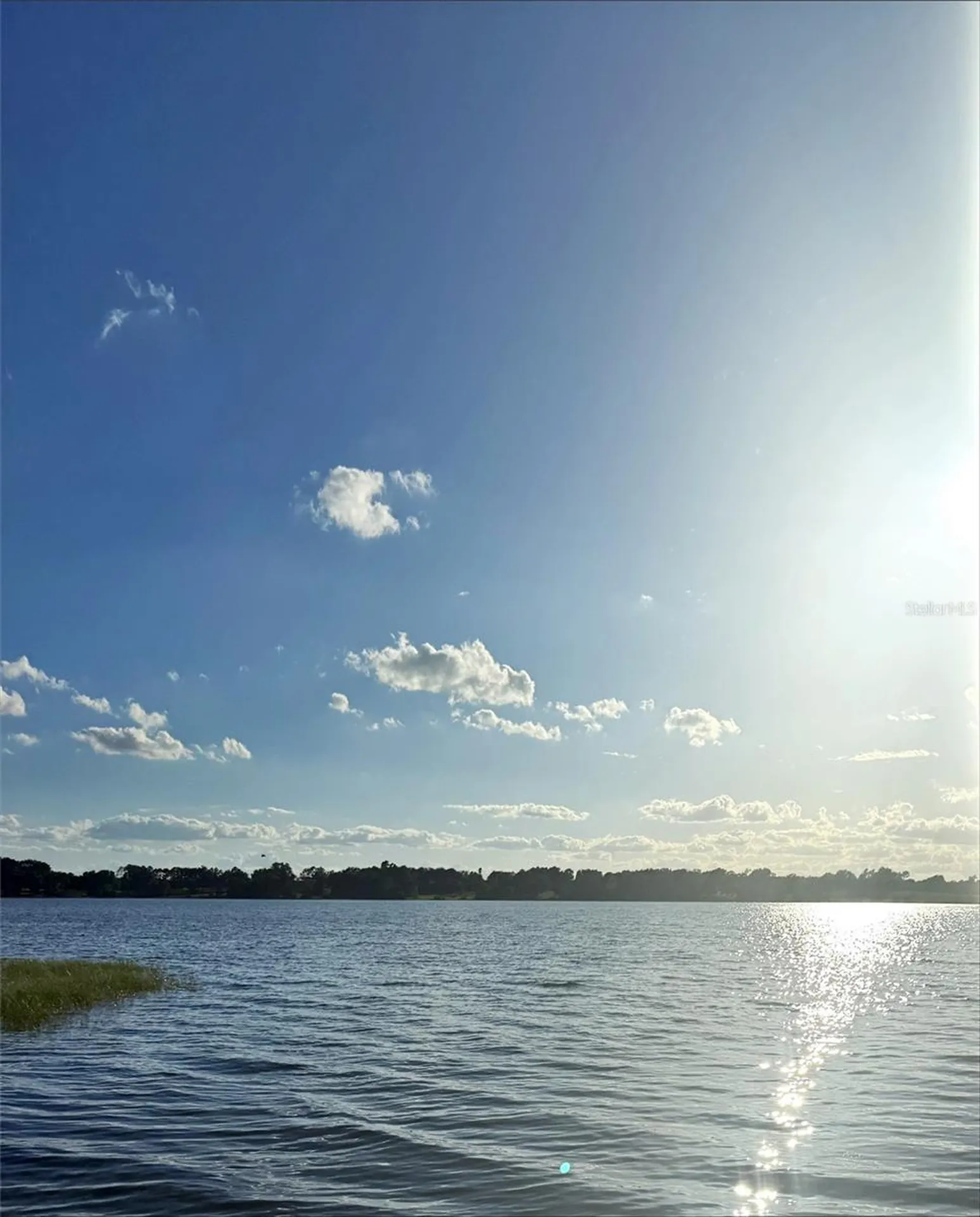 20018 Bill Collins Road Eustis FL 32736