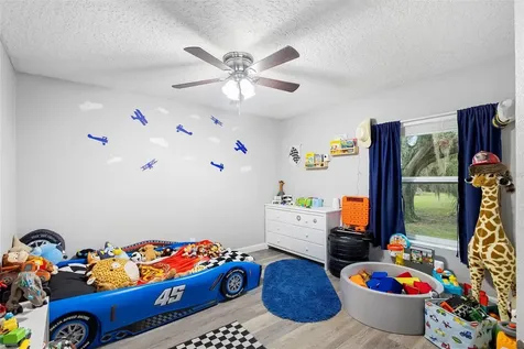 20018 Bill Collins Road Eustis FL 32736