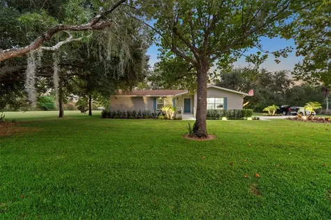 20018 Bill Collins Road Eustis FL 32736