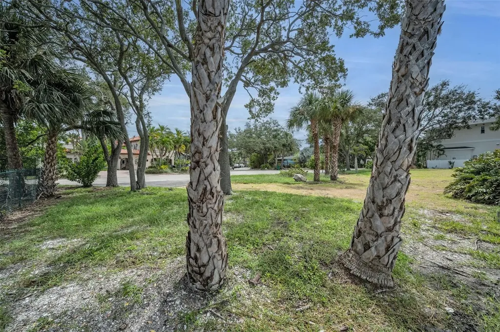 56 Sandpiper Road Tampa FL 33609