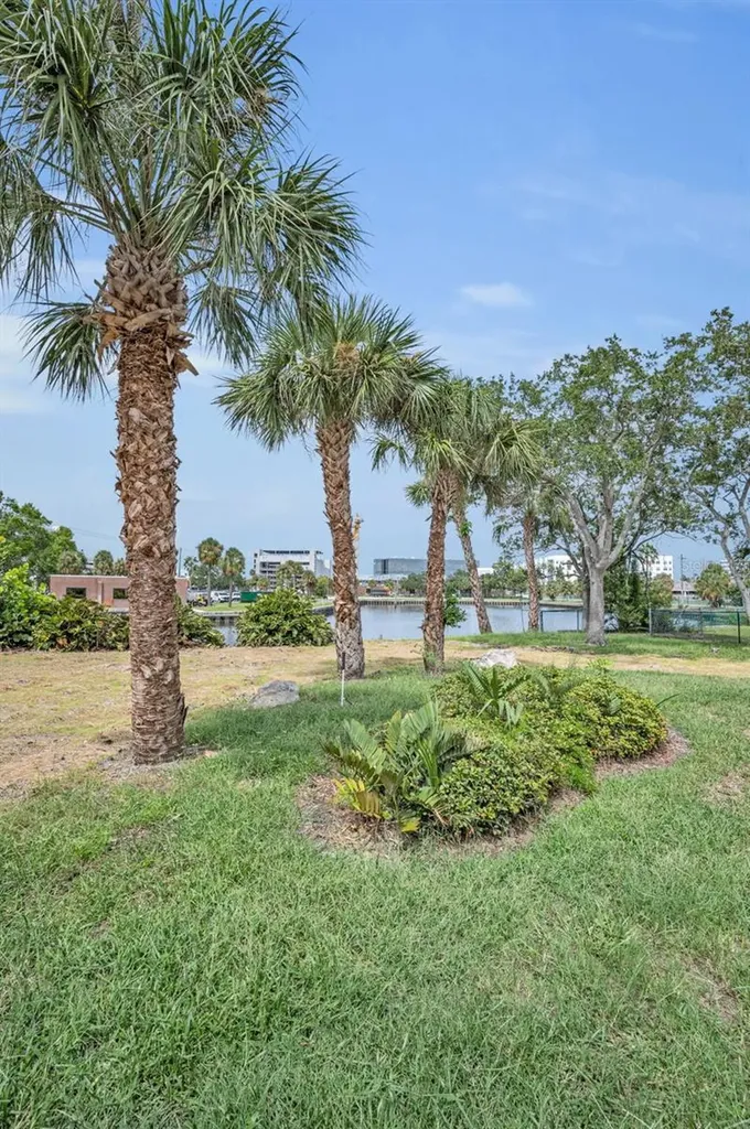 56 Sandpiper Road Tampa FL 33609