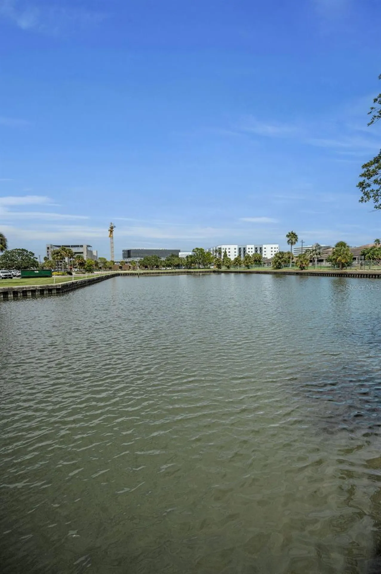 56 Sandpiper Road Tampa FL 33609