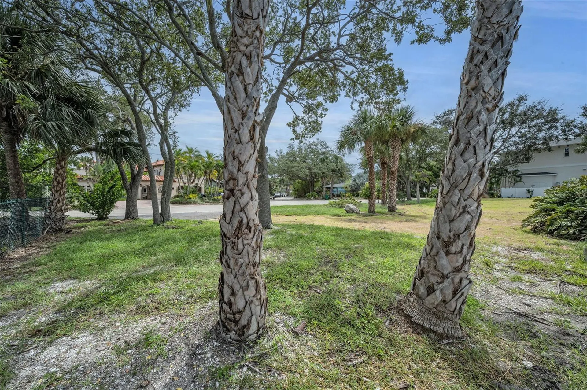 56 Sandpiper Road Tampa FL 33609