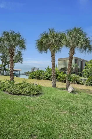 56 Sandpiper Road Tampa FL 33609
