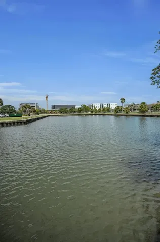 56 Sandpiper Road Tampa FL 33609