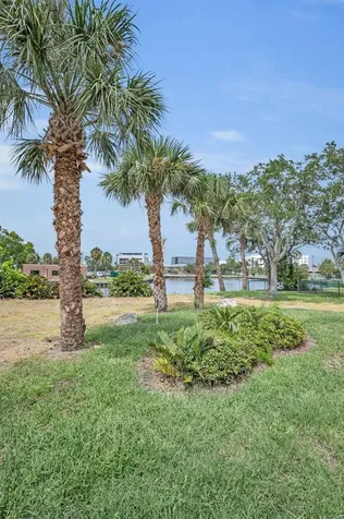 56 Sandpiper Road Tampa FL 33609