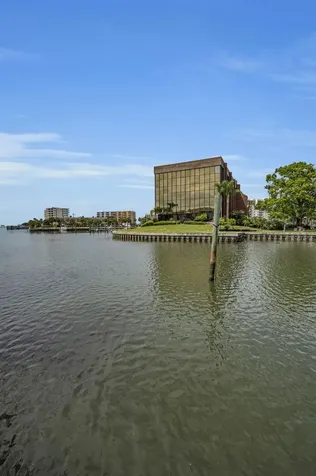 56 Sandpiper Road Tampa FL 33609