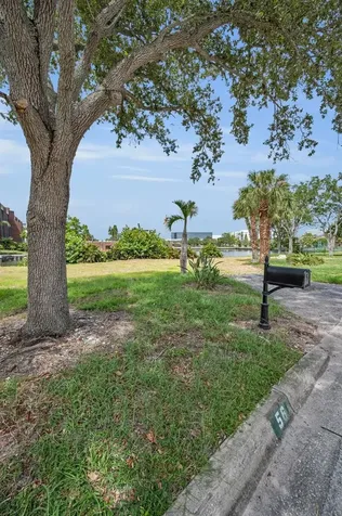 56 Sandpiper Road Tampa FL 33609