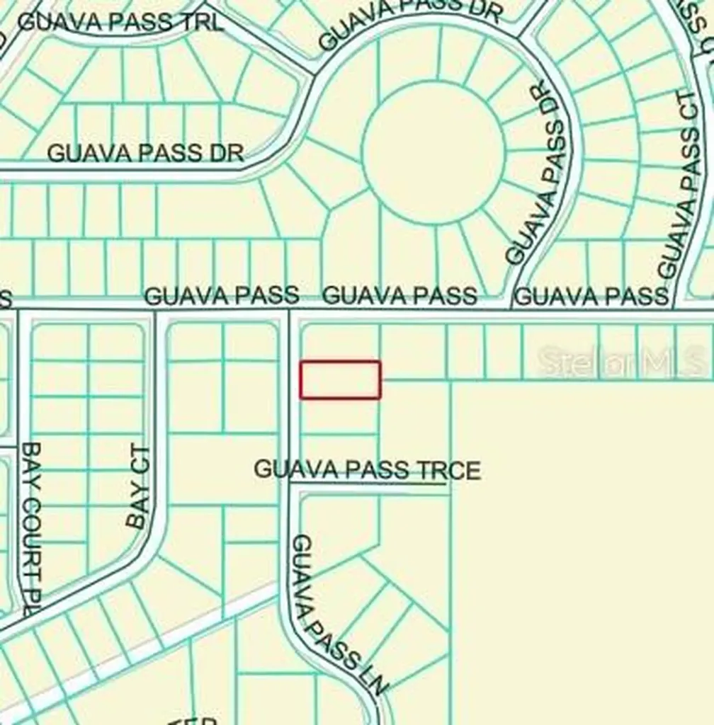Guava Pass Lane Ocklawaha FL 32179
