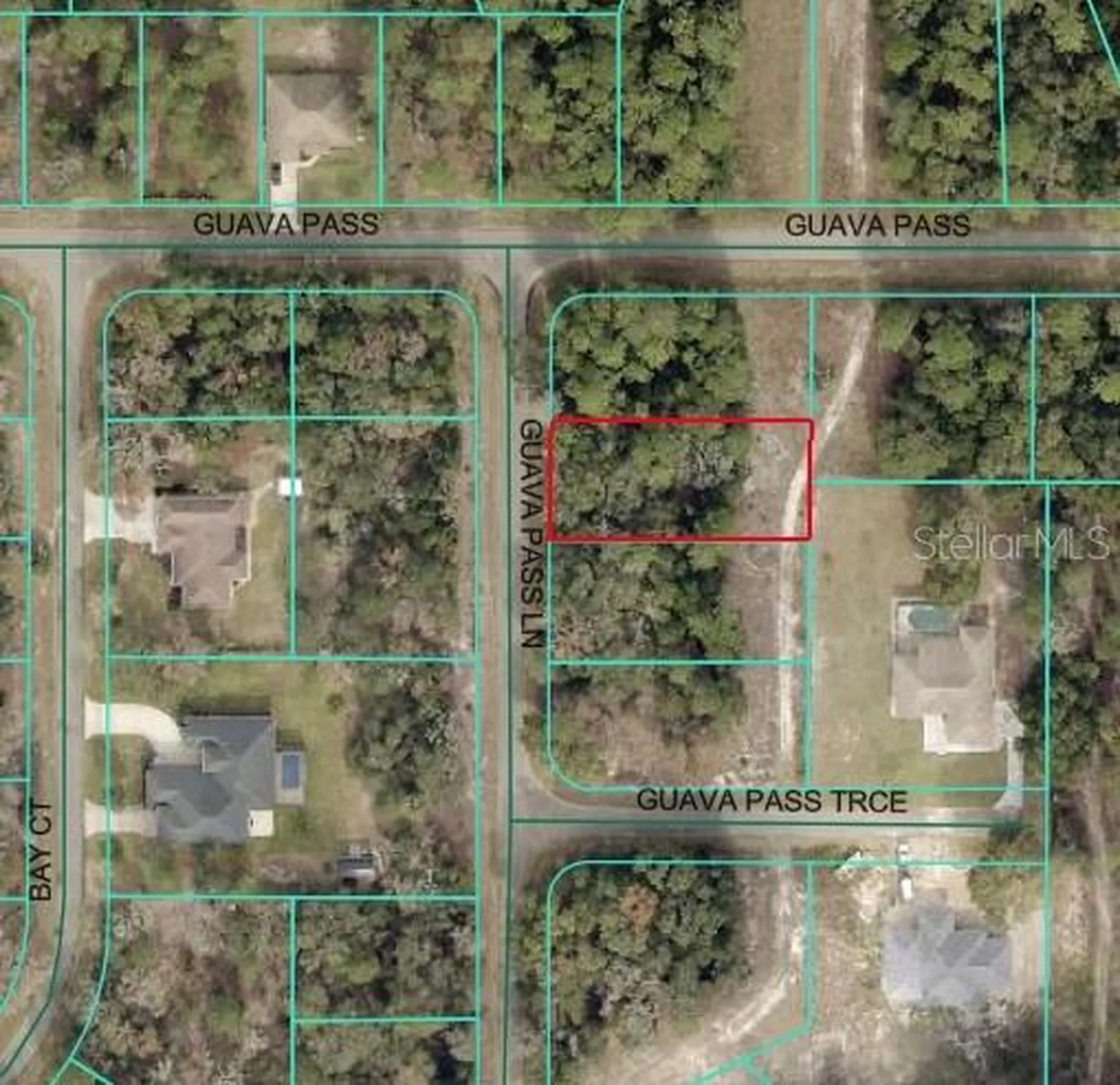Guava Pass Lane Ocklawaha FL 32179