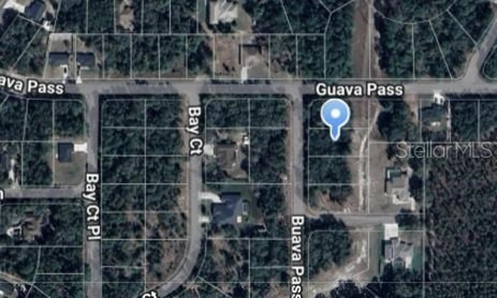 Guava Pass Lane Ocklawaha FL 32179