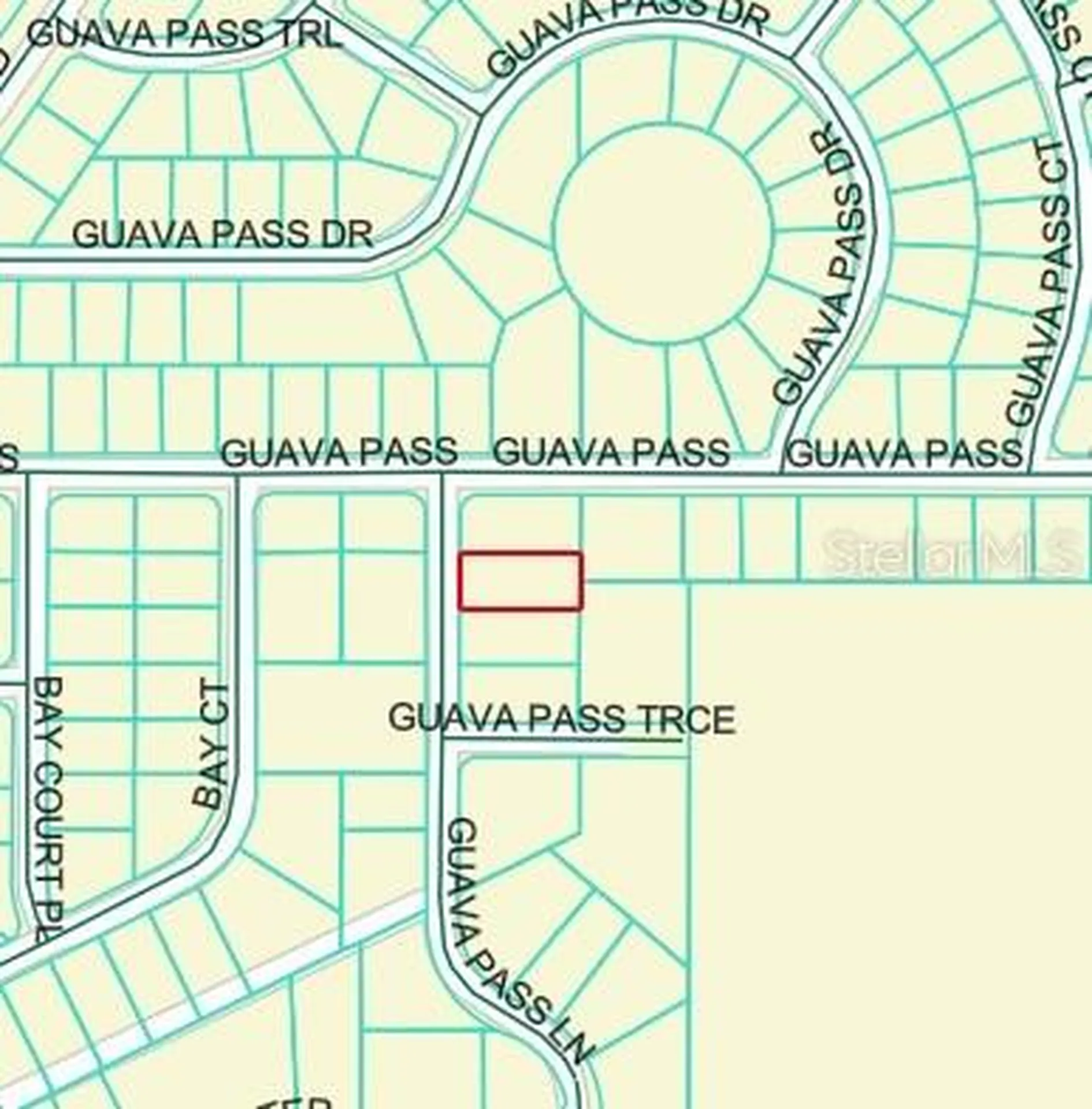 Guava Pass Lane Ocklawaha FL 32179