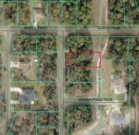 Guava Pass Lane Ocklawaha FL 32179