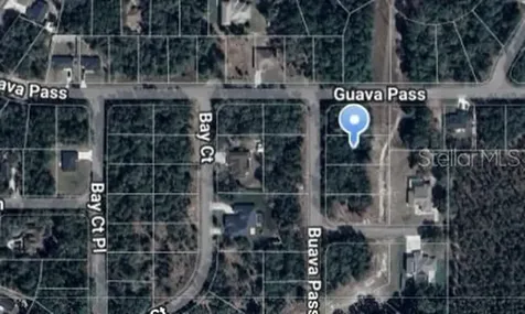 Guava Pass Lane Ocklawaha FL 32179