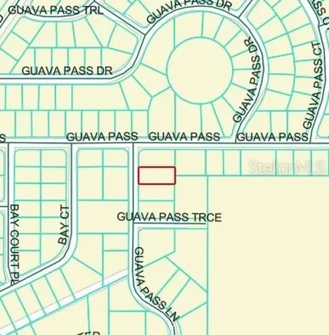 Guava Pass Lane Ocklawaha FL 32179