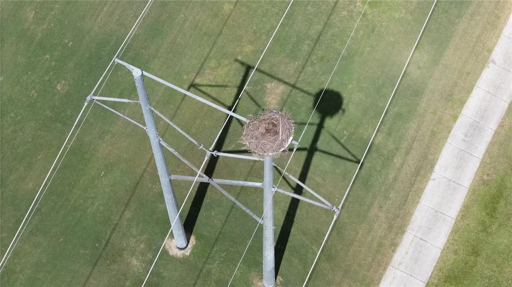 6973 Lake Eaglebrooke Drive Lakeland FL 33813