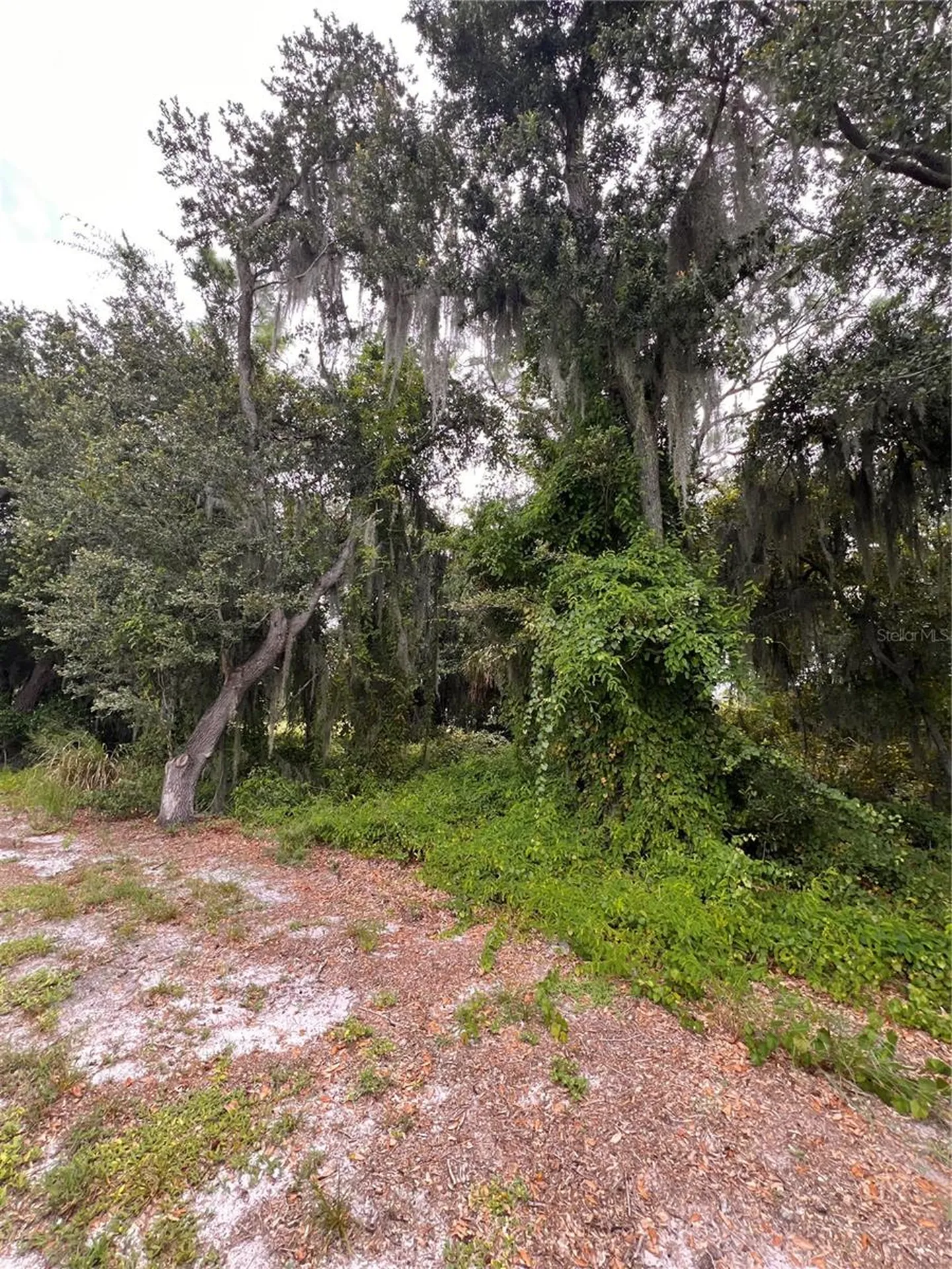 324 Cinema Drive Lake Placid FL 33852