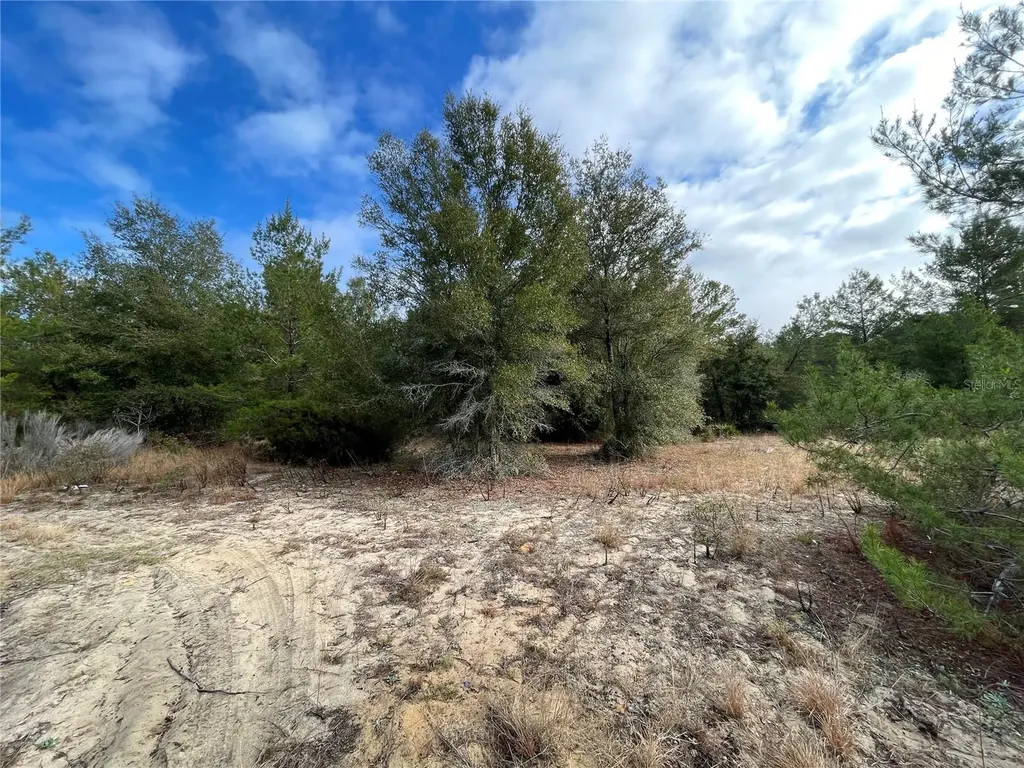 00 Sr 20 Interlachen FL 32148