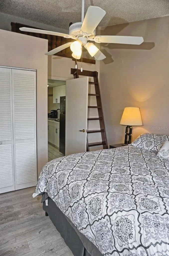 20893 Haulover Cove Lutz FL 33558
