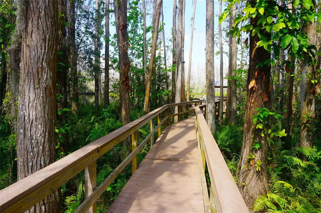 20893 Haulover Cove Lutz FL 33558