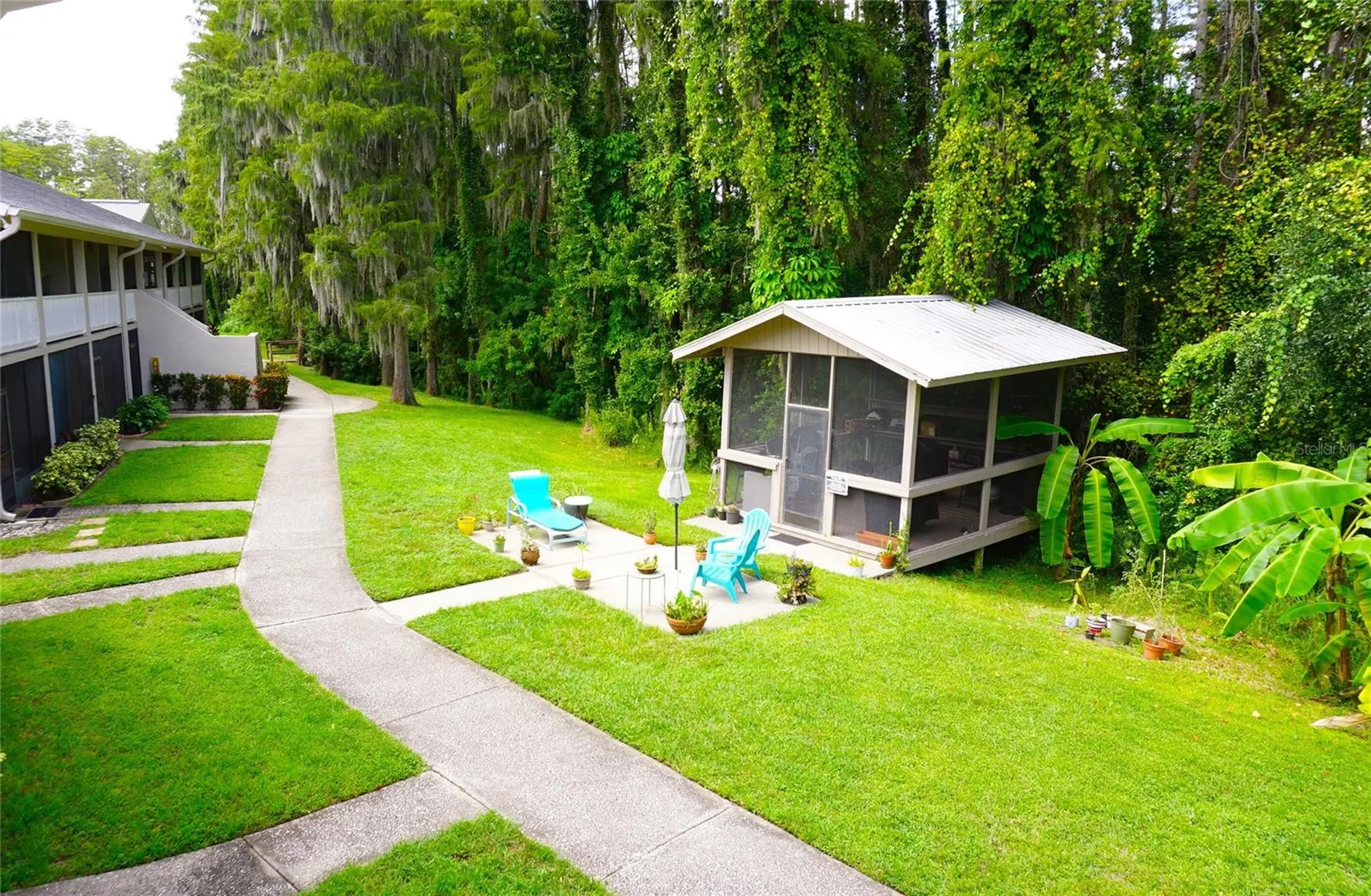 20893 Haulover Cove Lutz FL 33558