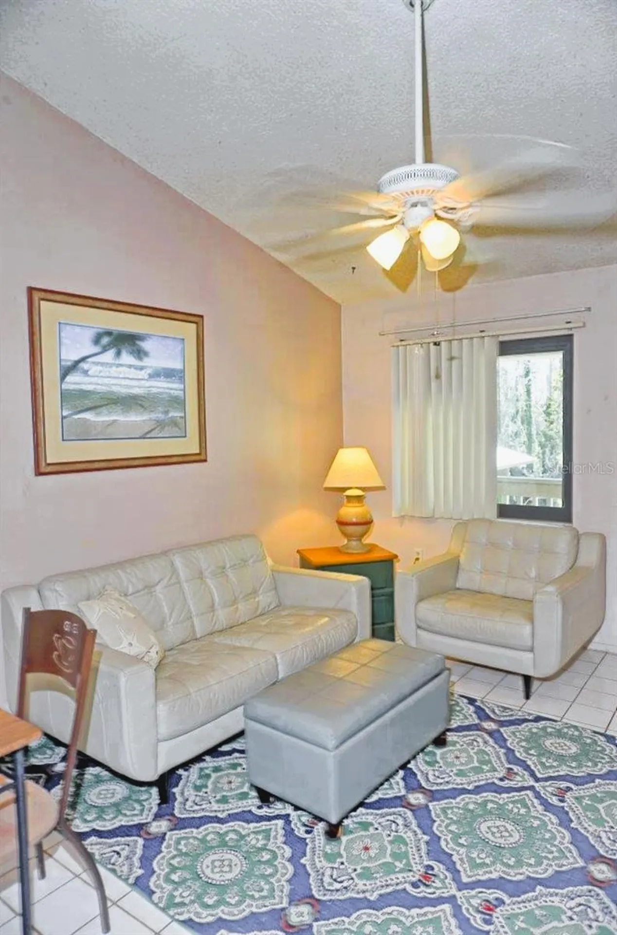 20893 Haulover Cove Lutz FL 33558