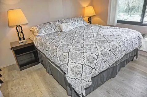 20893 Haulover Cove Lutz FL 33558