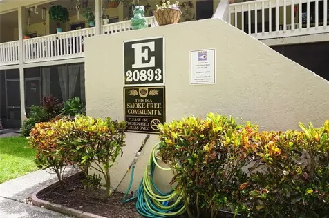 20893 Haulover Cove Lutz FL 33558