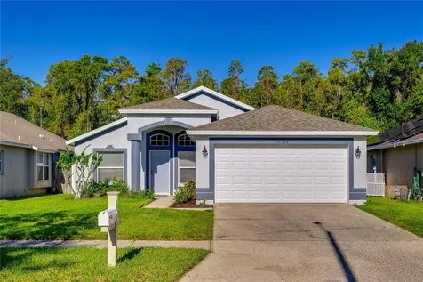 31308 Wrencrest Drive Wesley Chapel FL 33543
