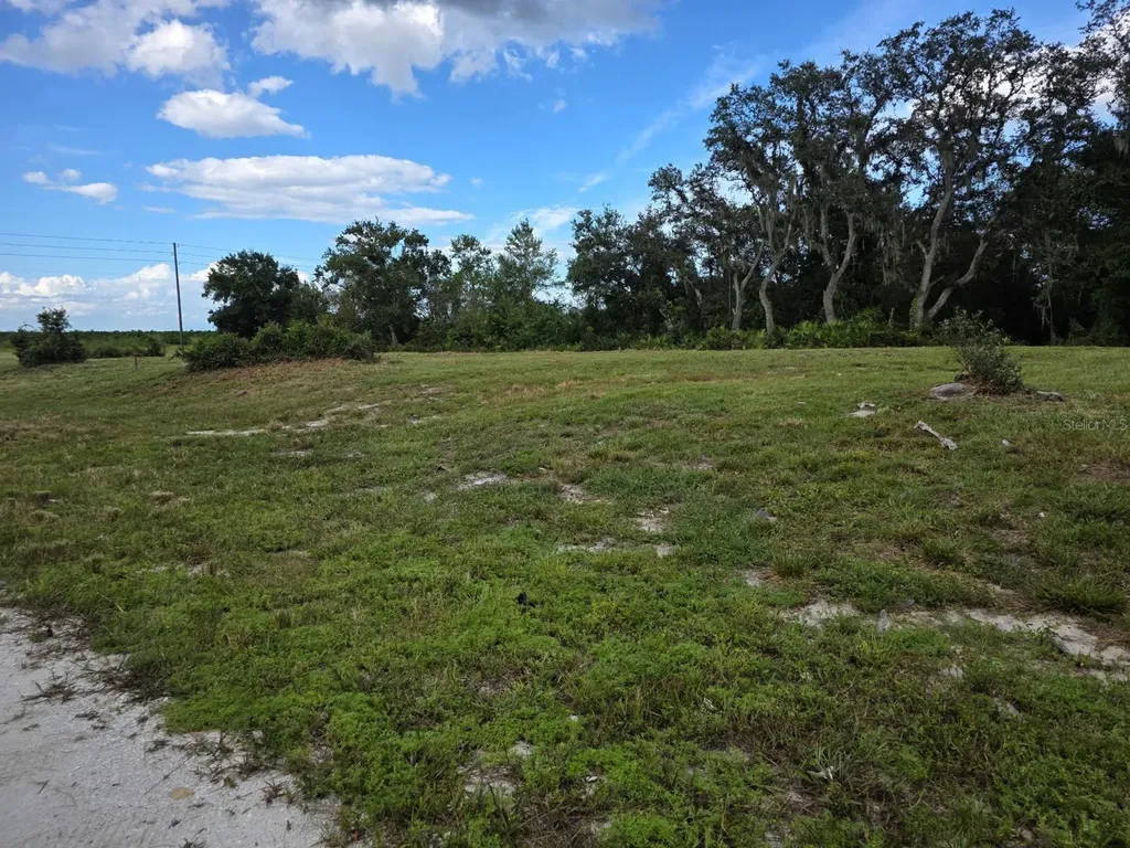 470 N Barrie Road Avon Park FL 33825