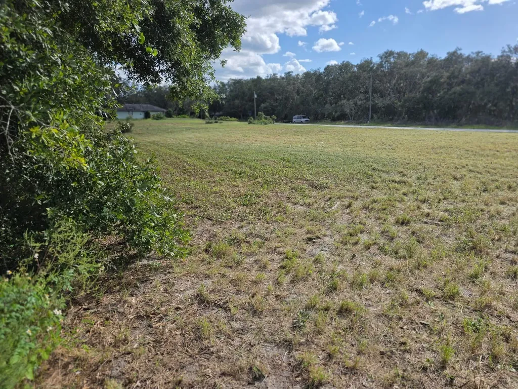 470 N Barrie Road Avon Park FL 33825