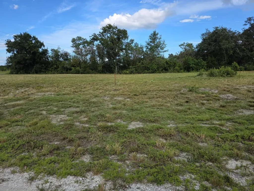 470 N Barrie Road Avon Park FL 33825