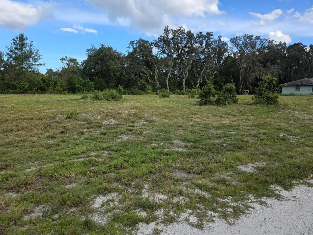 470 N Barrie Road Avon Park FL 33825