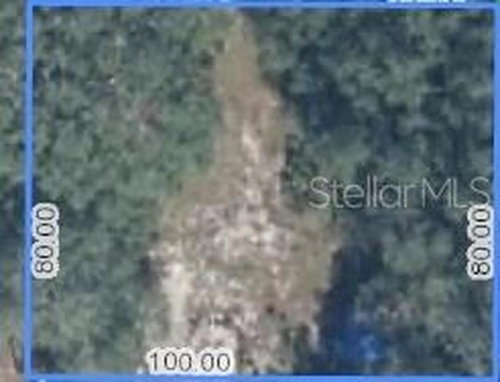 470 N Barrie Road Avon Park FL 33825
