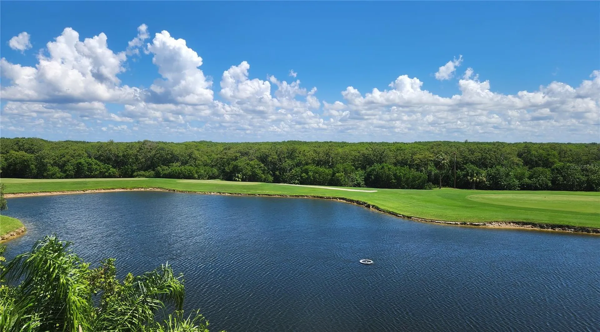 2333 Feather Sound Drive Clearwater FL 33762