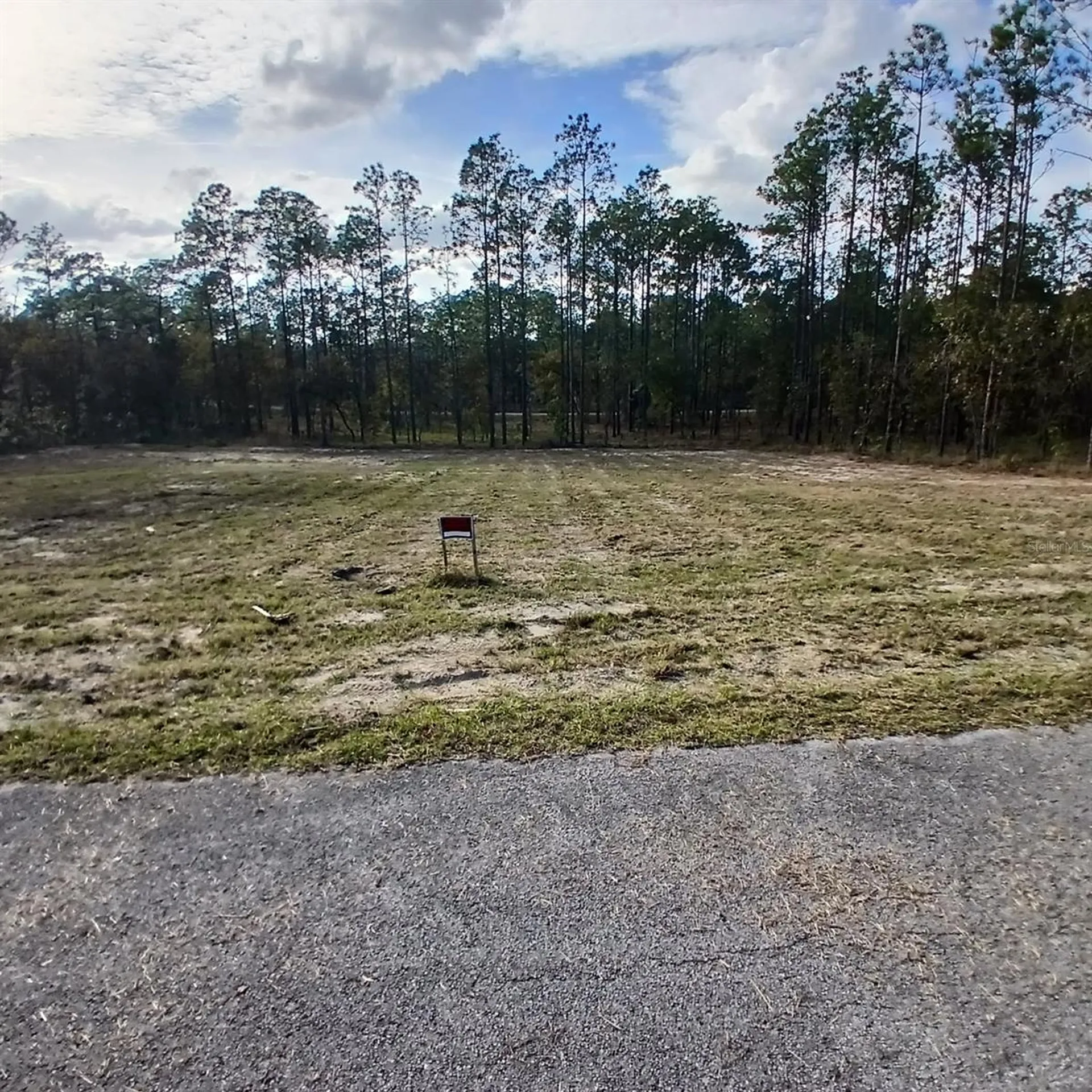 Narcissus Dunnellon FL 34431