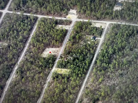 Narcissus Dunnellon FL 34431