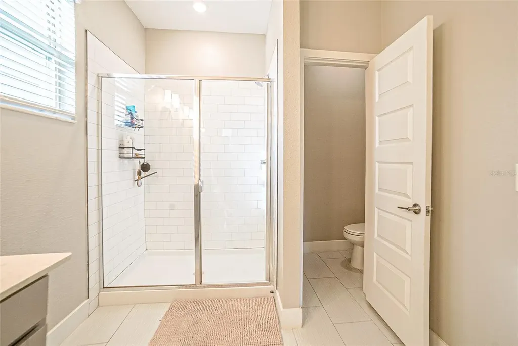 9732 Coneflower Court Land O Lakes FL 34637