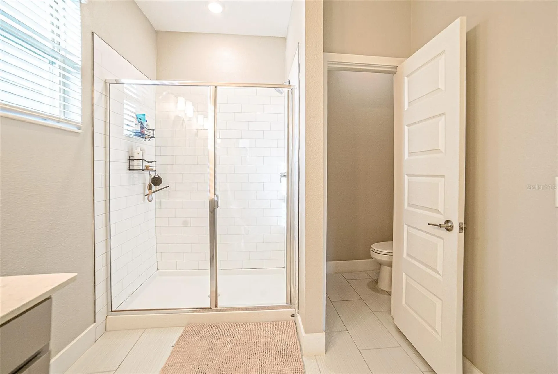 9732 Coneflower Court Land O Lakes FL 34637
