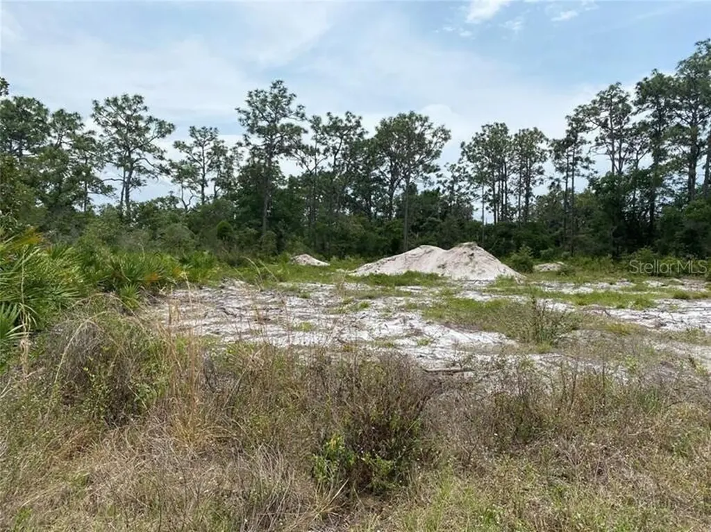 6591 Deland Avenue Indian Lake Estates FL 33855