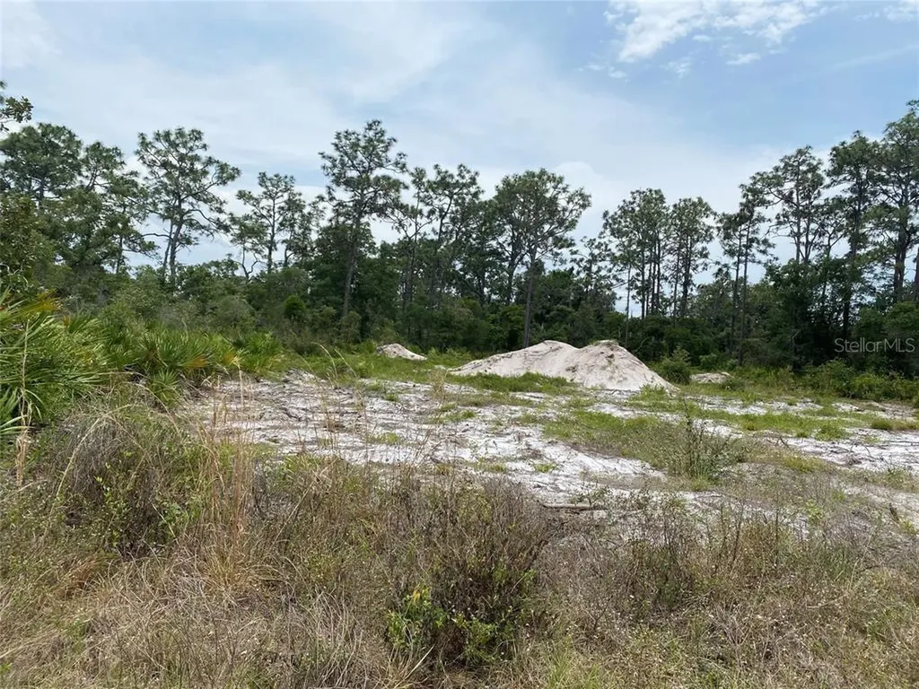 6691 Deland Avenue Indian Lake Estates FL 33855