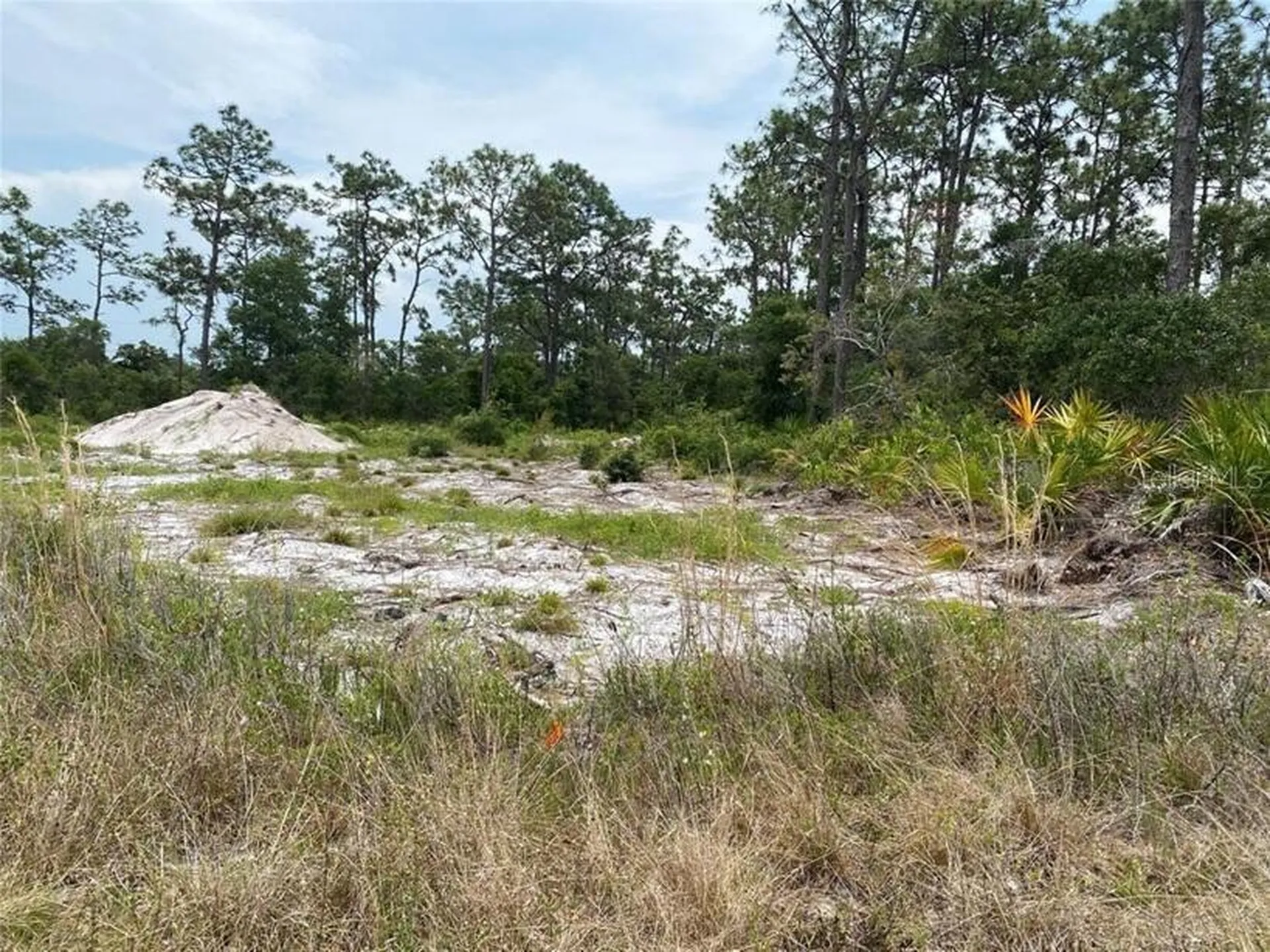 6691 Deland Avenue Indian Lake Estates FL 33855