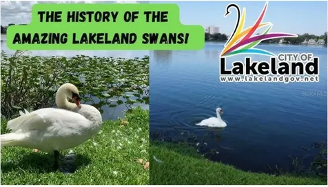 Kathleen Road Lakeland FL 33815