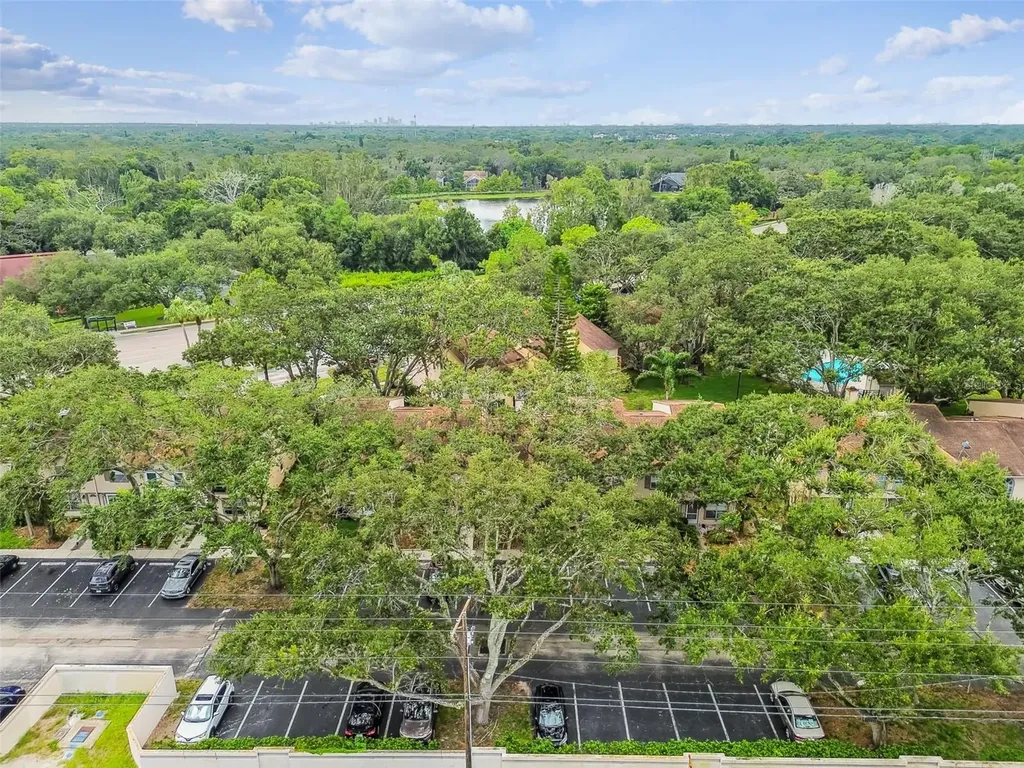 2124 Fletchers Point Circle Tampa FL 33613