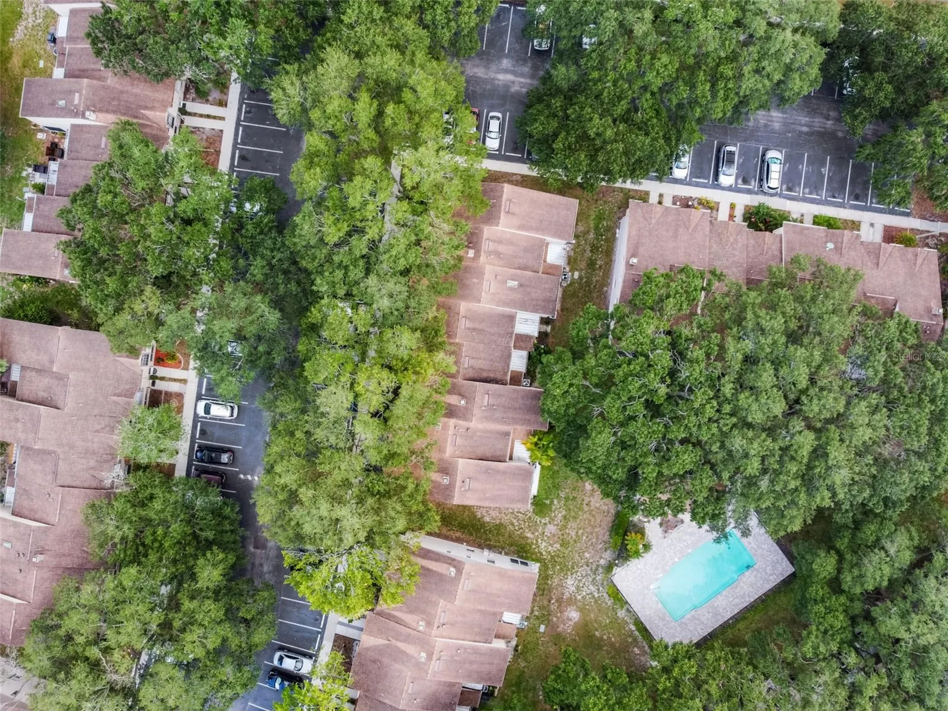 2124 Fletchers Point Circle Tampa FL 33613