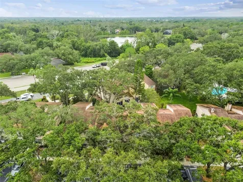 2124 Fletchers Point Circle Tampa FL 33613