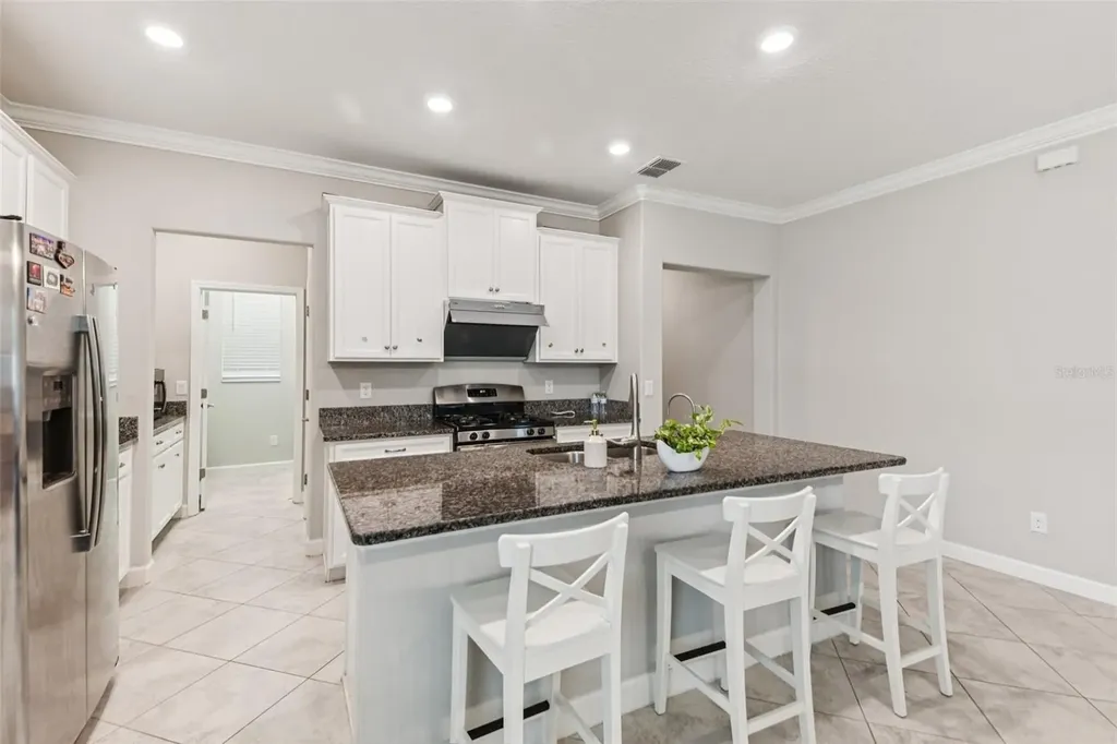24928 Lambrusco Loop Lutz FL 33559