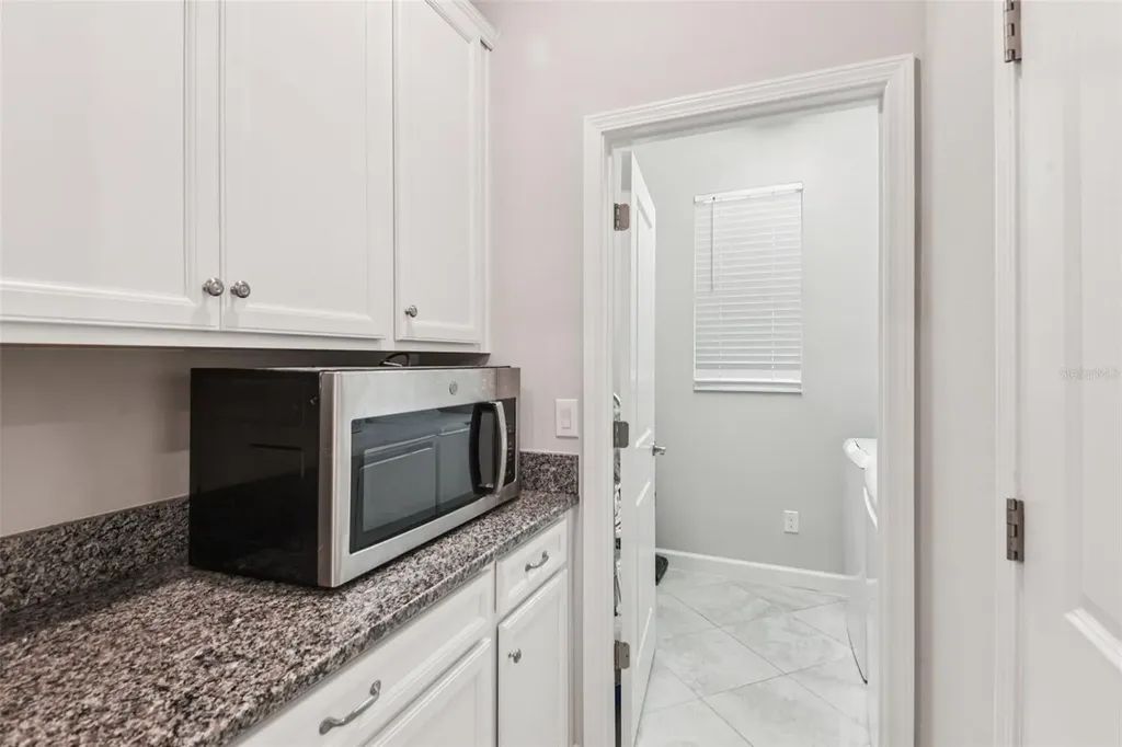 24928 Lambrusco Loop Lutz FL 33559